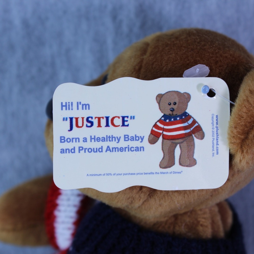 TEDDY BEAR "Justice" March of Dimes American Sweater 8" Plush Stuffed Animal Toy - Picture 5 of 5